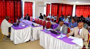 Read more about the article Workshop on Access & Benefit Sharing (ABS) of Ethiopia’s Genetic Resources