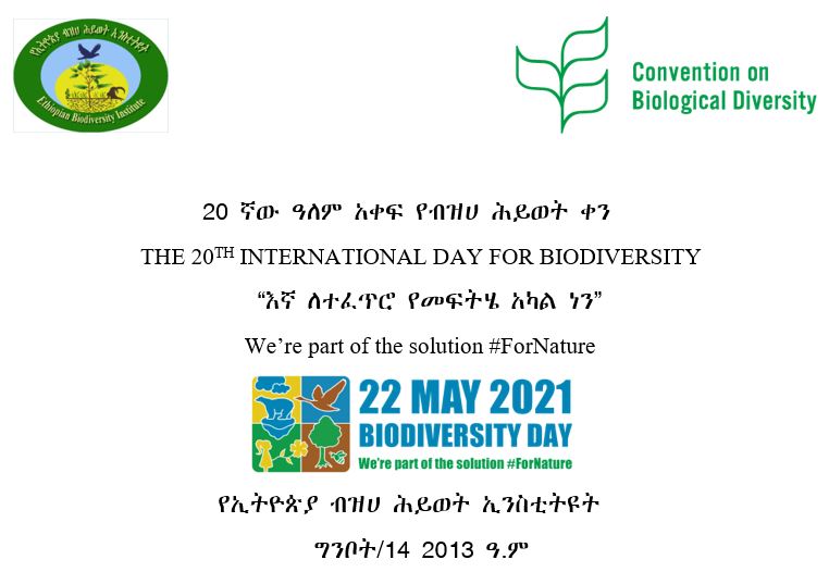 You are currently viewing The 20th International Biodiversity Day was celebrated