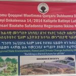 International Biodiversity Day celebrated at regional level in Ethiopia