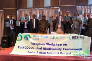 Read more about the article The Post-2020 International Biodiversity Framework Promotion Consultation Forum was held