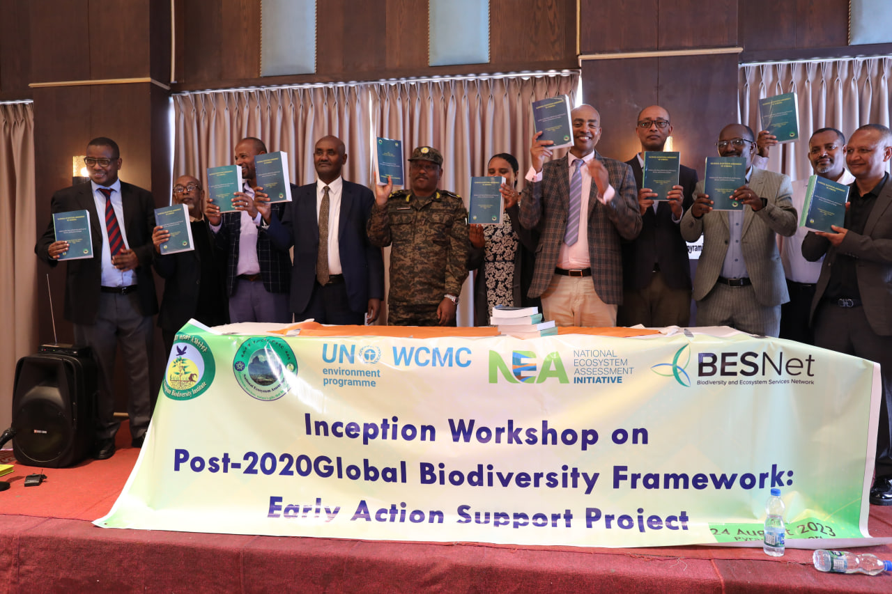 You are currently viewing The Post-2020 International Biodiversity Framework Promotion Consultation Forum was held