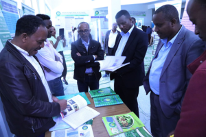 Read more about the article Exhibition Opens