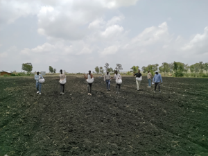 Read more about the article Planting seeds of wheat accessions selected through participatory research was conducted at the Ginir community seedbank