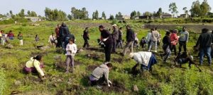 Read more about the article 700 million seedlings were planted in one night for the “Renewal through Planting” initiative