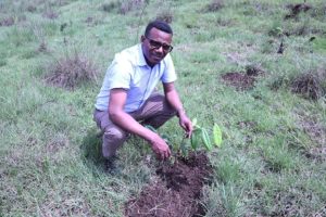 Read more about the article The Ethiopian Biodiversity Institute launched its first round of the Green Footprint Program